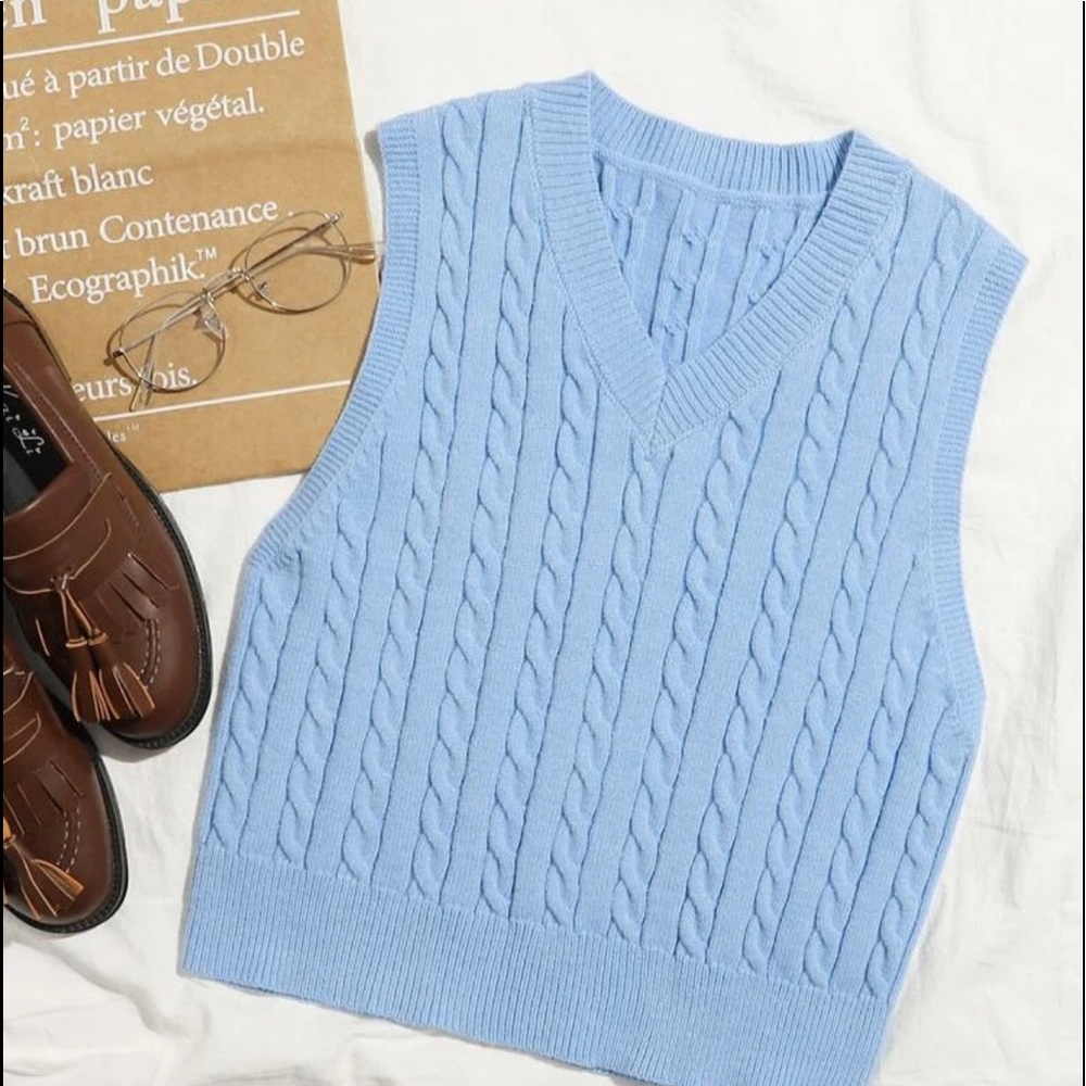 Wild Fable blue V neck sweater vest